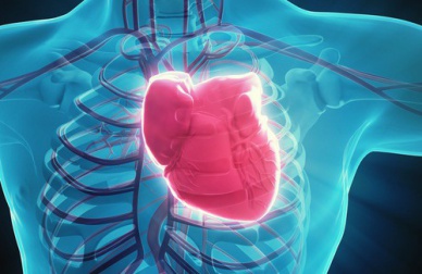 7 habitudes qui endommagent votre cœur