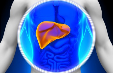 8 aliments pour dépurer votre foie naturellement