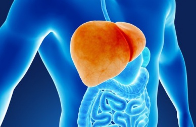 Les 6 habitudes qui nuisent à notre foie