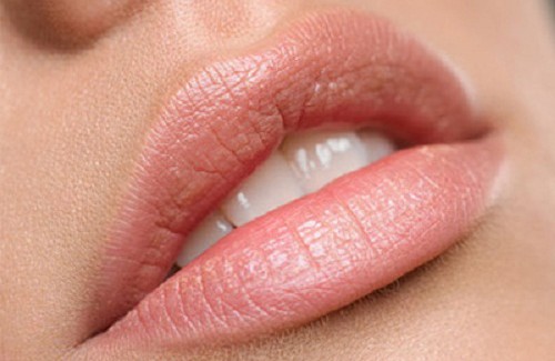 Les meilleurs remèdes naturels contre les lèvres sèches