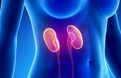 Une semaine pour nettoyer naturellement vos reins