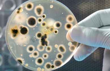 Que se cache-t-il sur les billets ?