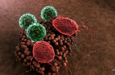 5 symptômes d'un système immunitaire affaibli