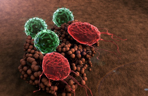 5 symptômes d'un système immunitaire affaibli