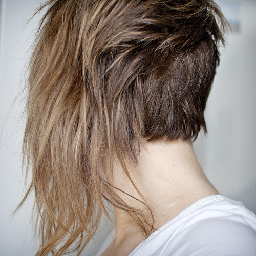 cheveux ternes