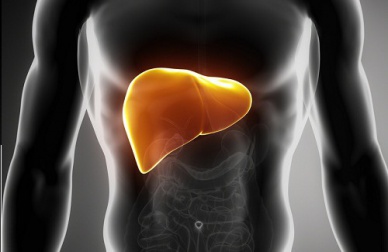 Comment soigner un foie trop gras ?