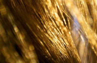 Dites adieu aux cheveux secs de manière naturelle