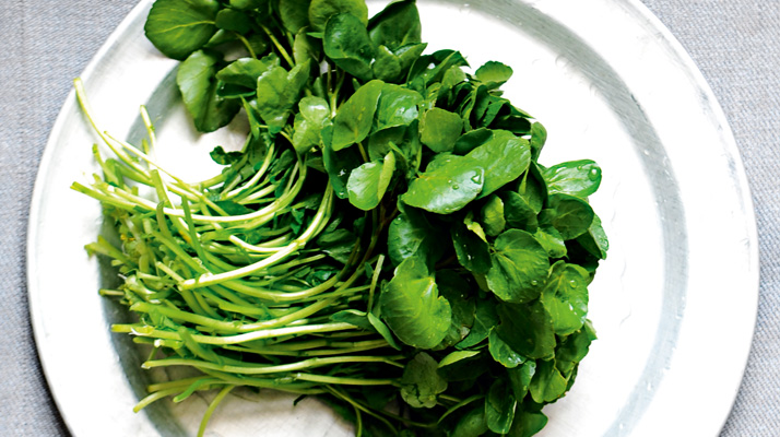 Le cresson pour les reins.