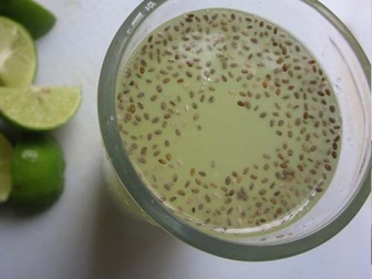 Tout savoir sur les graines de chia