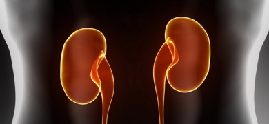 Légumes qui stimulent le fonctionnement des reins