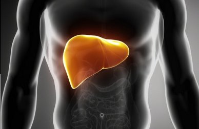 Une semaine détox pour nettoyer son foie