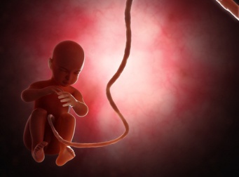 Le changement climatique pourrait éradiquer le sexe masculin de la race humaine