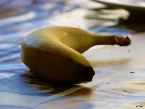 Les propriétés de la banane