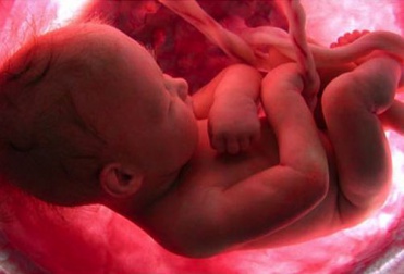 Pourquoi ne nous souvenons-nous pas de notre naissance ?