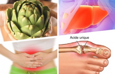 Les grands usages médicinaux de l'artichaut