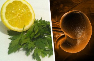 Remède au persil et au citron pour purifier les reins