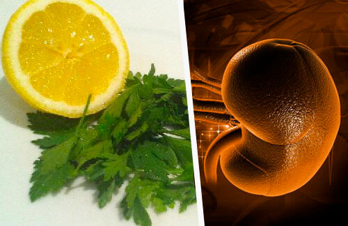 Remède au persil et au citron pour purifier les reins