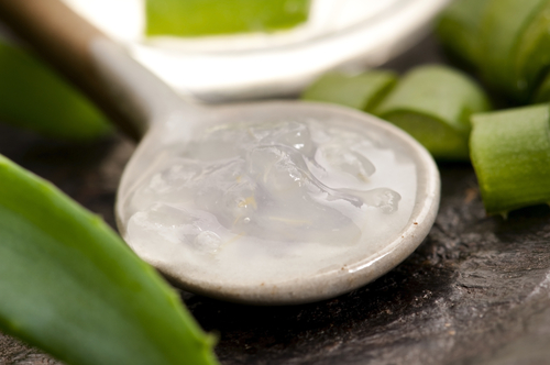 aloe vera et rides