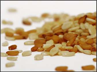 Graines de sésame pour traiter la migraine.