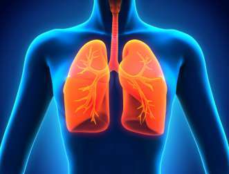 Le régime pour désintoxiquer les poumons est simple.
