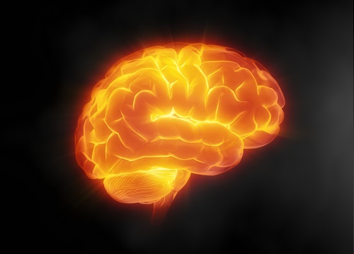 l'activation du cerveau