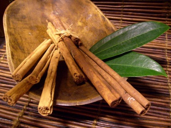 Les bienfaits méconnus de la cannelle : pour la digestion