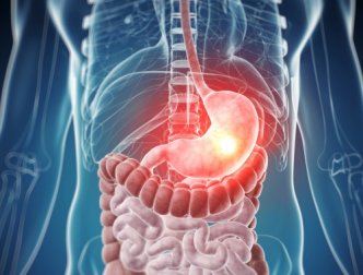 Les 5 principes de base d'un corps sain