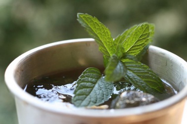 Les thés à la menthe.