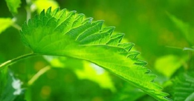 10 trucs contre les ronflements