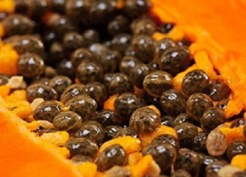 5 bienfaits des graines de papaye