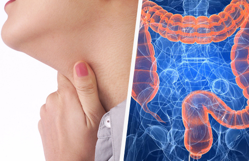 Les liens entre les maladies de la gorge et les intestins