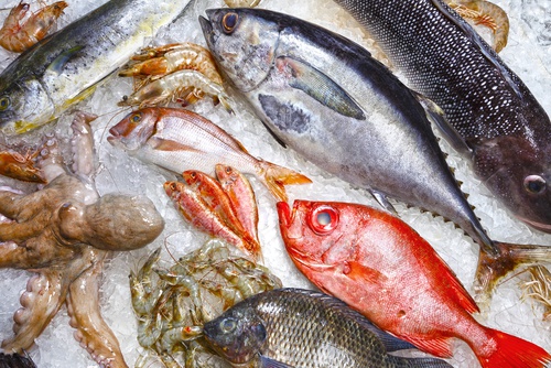le poisson bleu pour perdre du poids