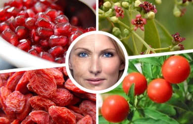 Les 7 secrets contre le vieillissement venus de l'Himalaya