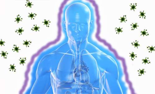 système immunitaire