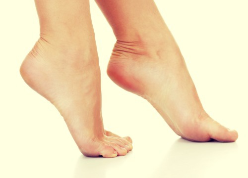 Talons