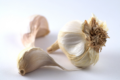 ail contre les infections