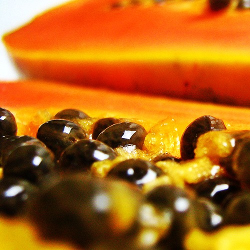 les graines de papaye