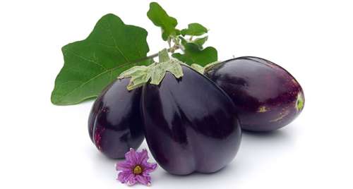 Les propriétés de l'aubergine