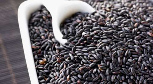 Les grands bienfaits du riz noir contre les inflammations.