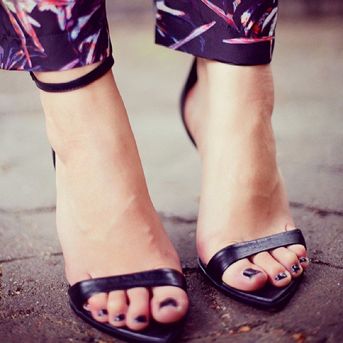 talons5