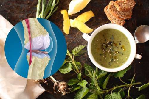 Traitements pour fortifier les tendons et les ligaments des genoux
