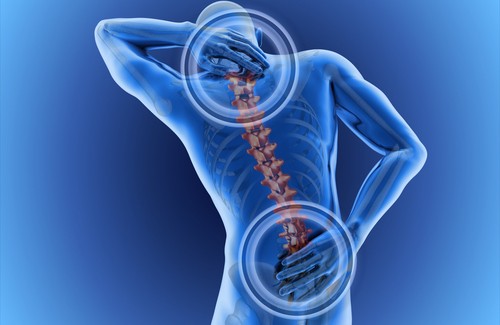 Quelles sont les causes des maux de dos ? Quelles sont les causes des maux de dos ?