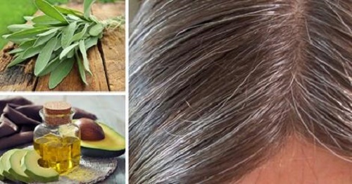 Découvrez les causes des cheveux blancs et combattez-les grâce à des remèdes naturels