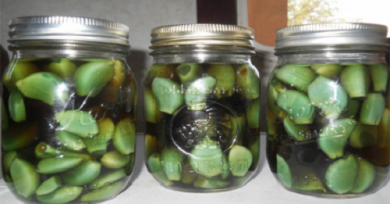 Le remède à l'ail, au vinaigre de pomme et au miel