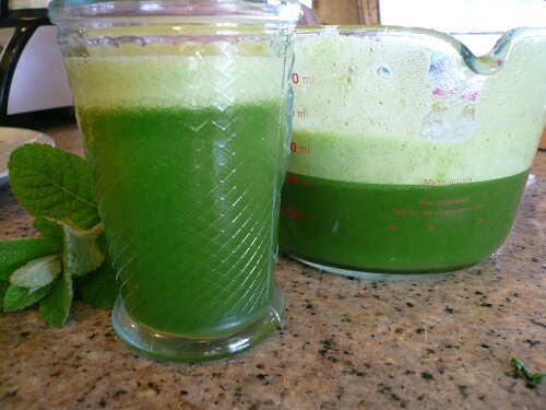 Smoothie vert