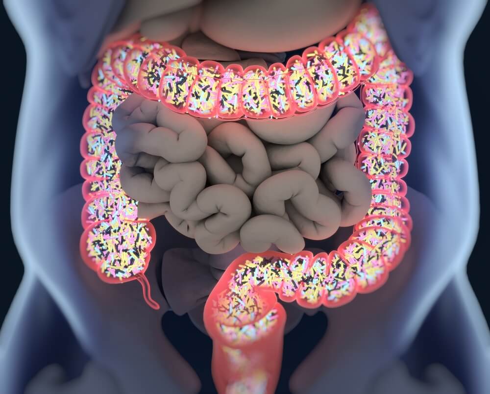 5 Aliments Pour Repeupler La Flore Intestinale - Améliore Ta Santé