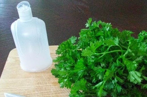 vertus du persil pour la santé : aphrodisiaque