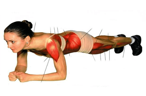 L’exercice de « Plank » muscle vos abdos et tout votre corps L’exercice de « Plank » muscle vos abdos et tout votre corps