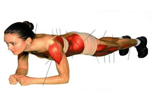 Le gainage : un exercice pour muscler tout votre corps