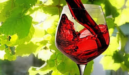 verre de vin rouge dans une vigne